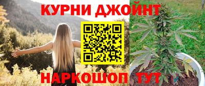 шишки Гагарин