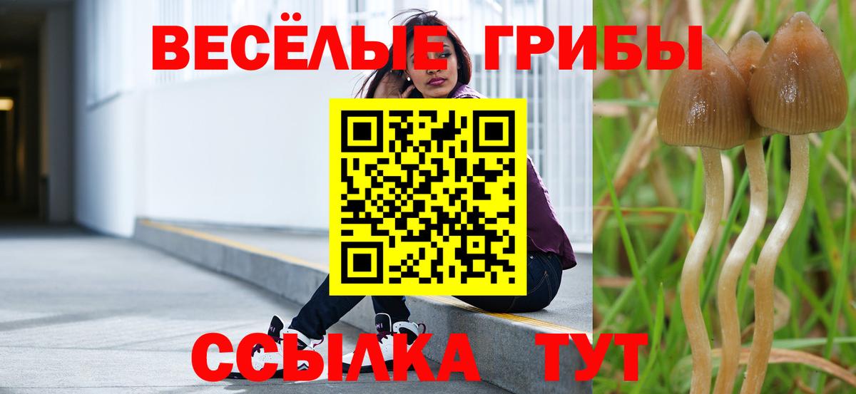 Галлюциногенные грибы MAGIC MUSHROOMS Кудымкар